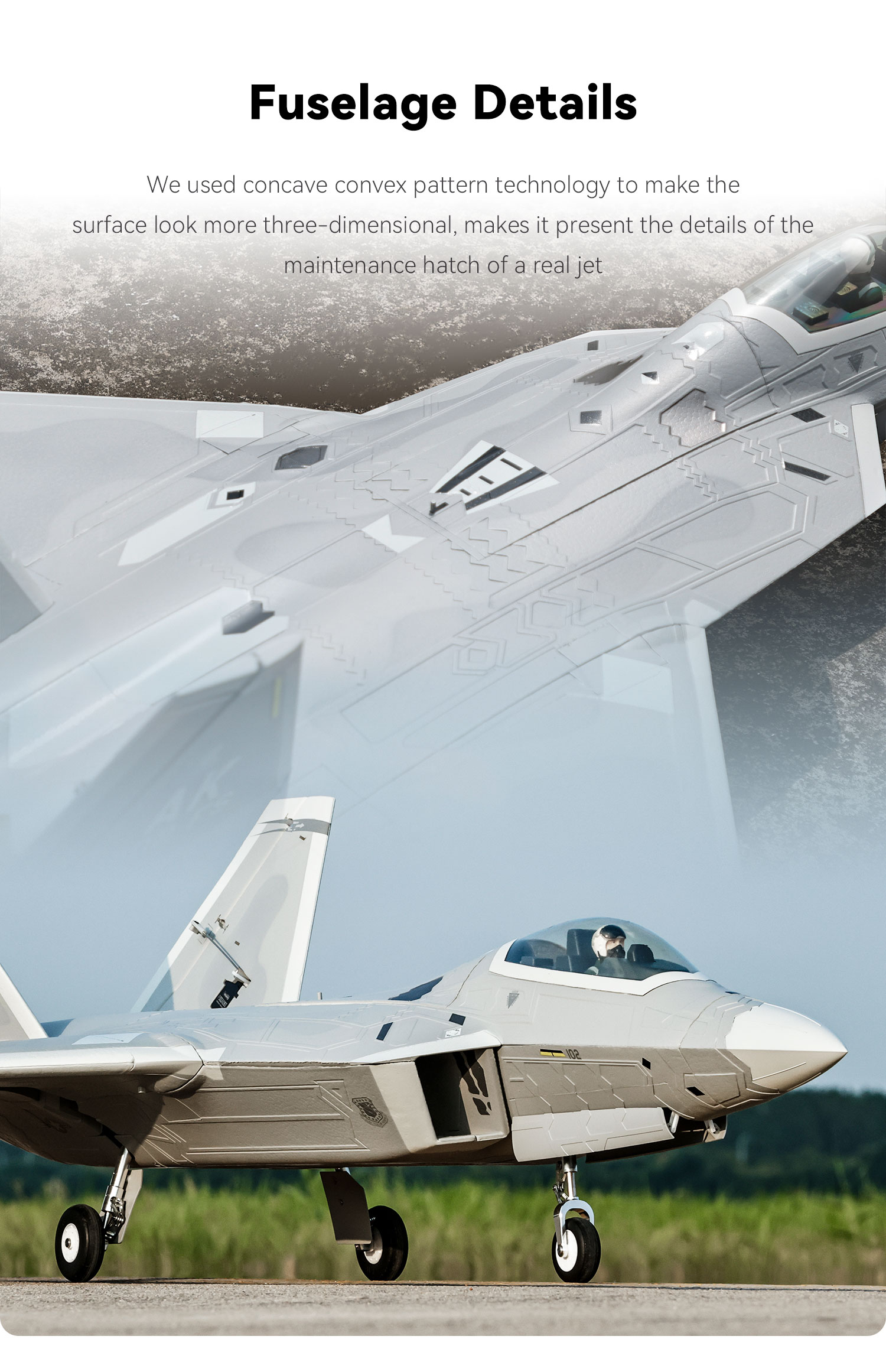 Freewing F-22 Raptor 70mm 12 Blade EDF Jet 6S PNP Version Freewing F-22 Raptor 70mm 12 Blade EDF Jet 6S PNP Version